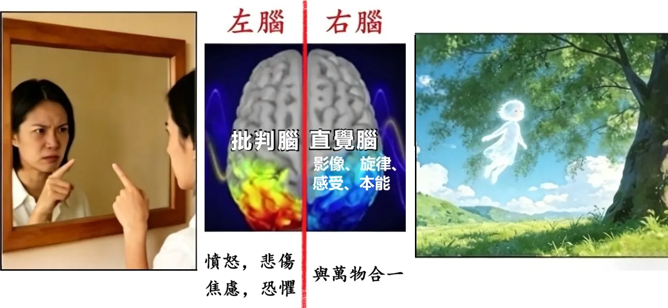 左右脑图