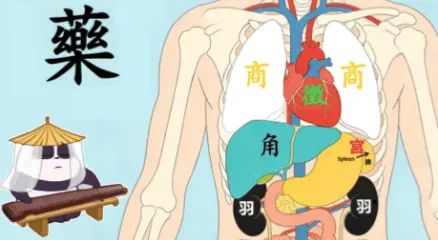 宮商角徵羽